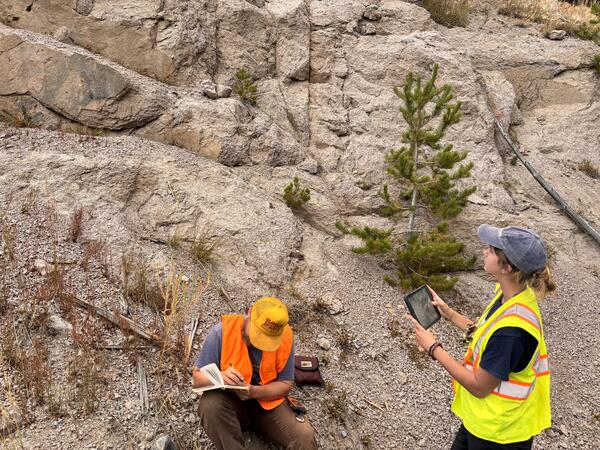 A young man and young woman examine a tan-colored rock outcrop with some grasses and a small tree