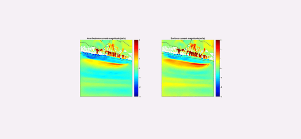 A short animation contrasts the difference between near-bottom current magnitude and surface current magnitude, showing waves of
