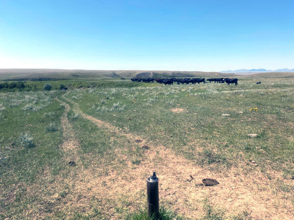 USGS monitoring well on the Fort Belknap Reservation