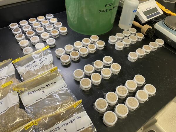 Sediment samples being prepared for portable X-ray fluorescence (XRF) analysis