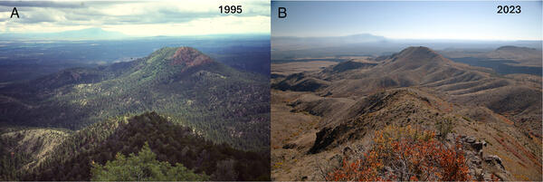 side-by-side of forested mountains in 1995 on the left, and burned forested mountains on the right in 2023.