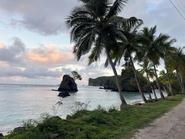 Color photo of a tropical looking island with palm trees and rock coast and calm seas.