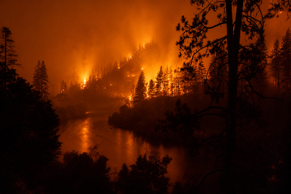 Trees burning next to a river