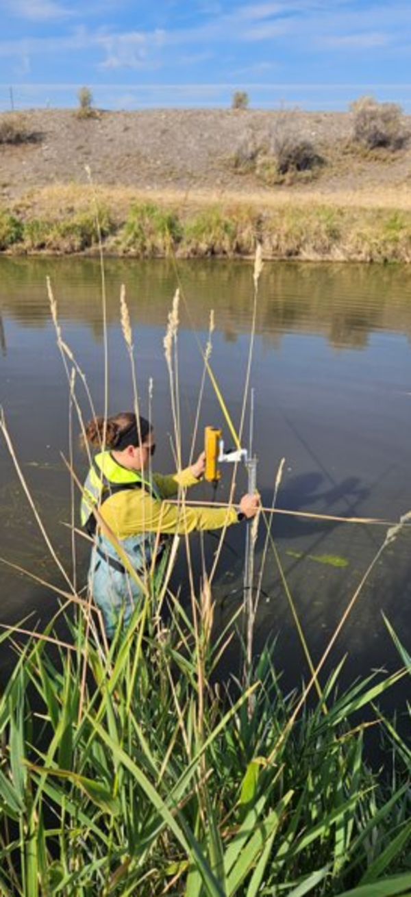 researcher standing in front of aquatic vegetation in lake abert 