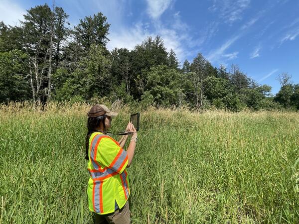 A technician photographs a grassy field