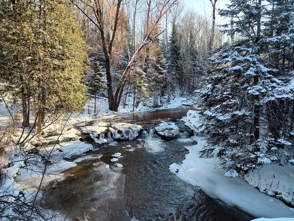 Shallow waterfalls in the middle of a river, surrounded by snow covered trees and foliage on shoreline