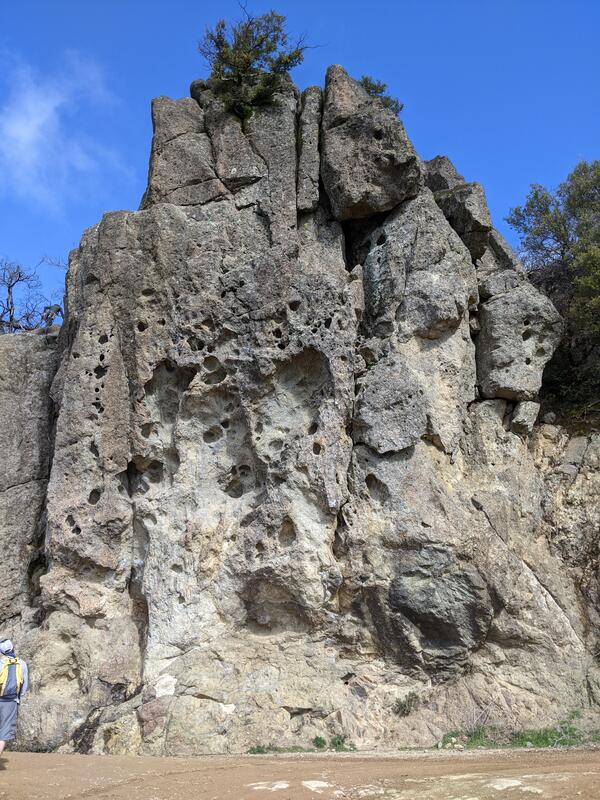 A hiker looks up at a cliff of pockmarked, grungy gray rock which has fractures and multiple shades of white and tan breaking up its surface. The pockmarks resemble honeycomb, and the overall texture of the rock shows that it has numerous chunks of smaller rocks embedded in a white matrix. 