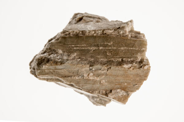 High-definition image of spodumene specimen with fibrous texture and light coloration.