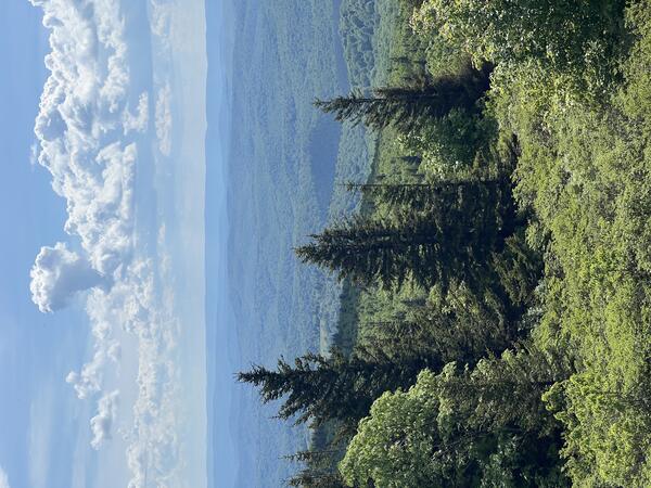 Spruce Knob, the highest point in West Virginia