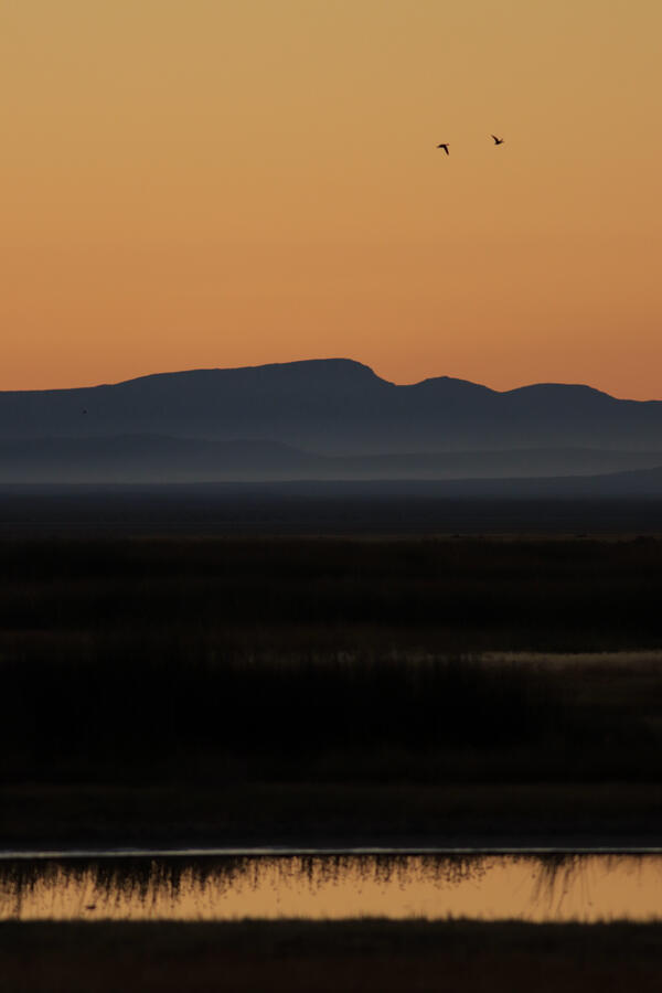 Summer Lake Wildlife Area. There are mountains in the background, an orange sunset, and birds flying in the sky