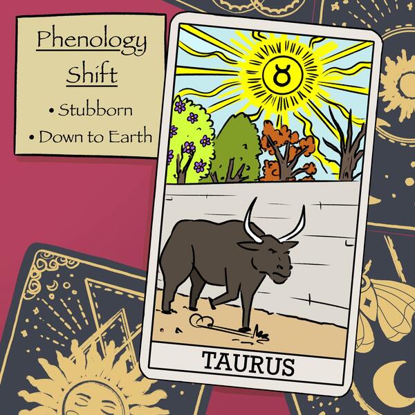 A tarot card for Taurus represented by a bull walking by trees that are changing between four seasons.