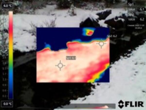 Infrared thermal image of groundwater discharge