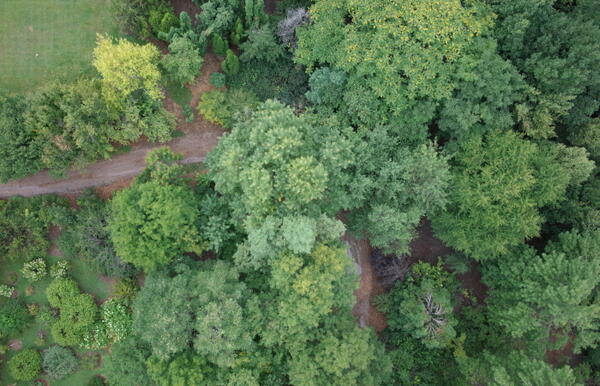 Leaf On natural color image at the Colorado State Arboretum taken from a UAS