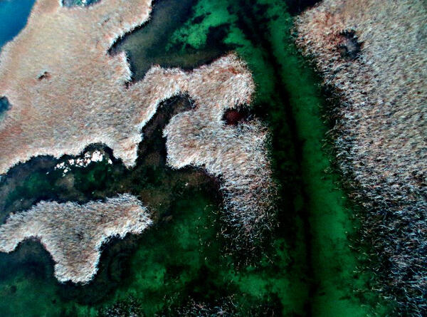 Color infrared image of the Ruby Lake National Wildlife Refuge taken from a UAS