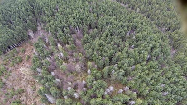 Natural color image of the Skagit Valley of Washington taken from a sensor mounted on a UAS
