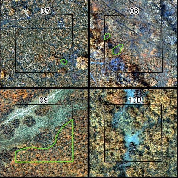 An Unoccupied Aerial System image of the Palo Alto Battlefield, TX.