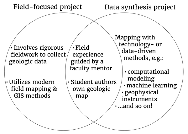 Venn diagram comparing field-focused projects and data synthesis projects. 
