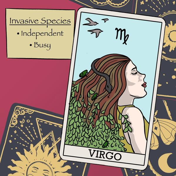 A tarot card for Virgo represented by a woman with leaves, bugs, and snakes in her hair.