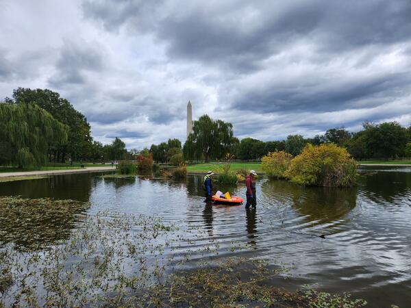 Sampling at Constitution Gardens