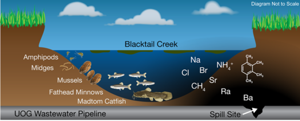 Wastewater from oil production