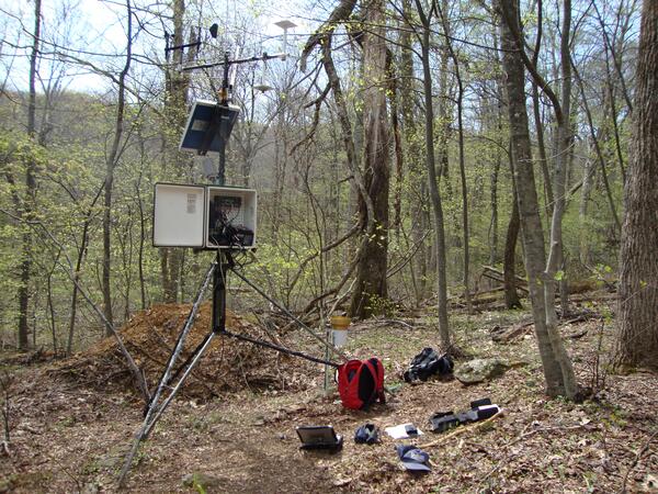 Image: Weather Station