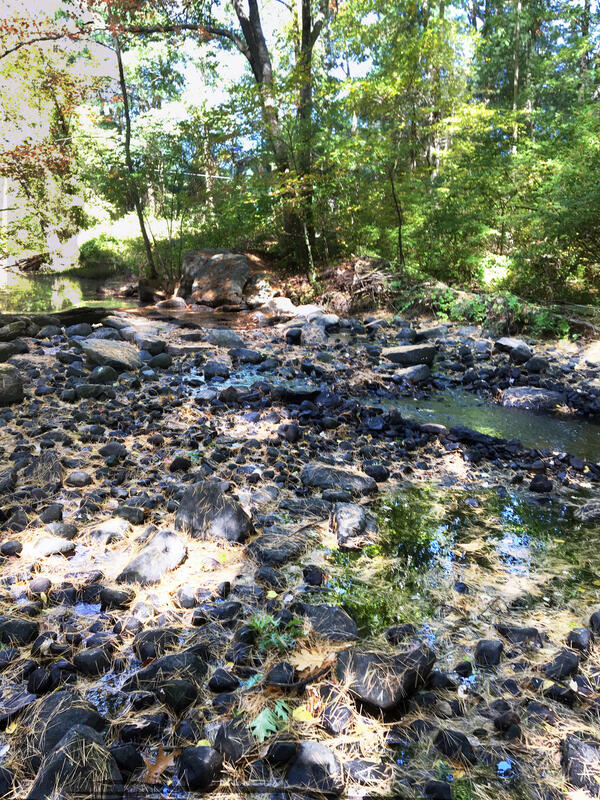 2020 drought impact on Little River near Oxford, Massachusetts