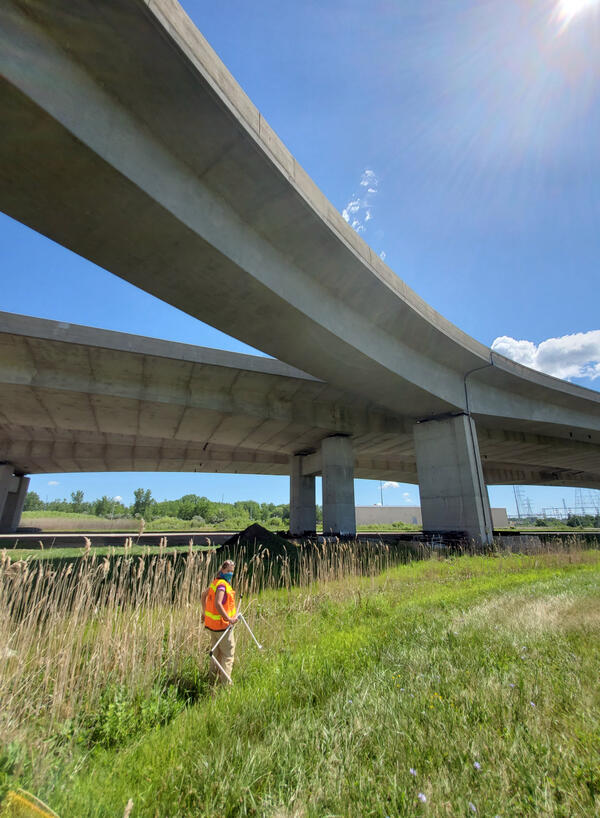 Using a Quadrat to Count Invasive Phragmites
