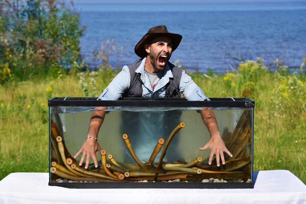 YouTube Host with live Sea Lamprey in a Tank