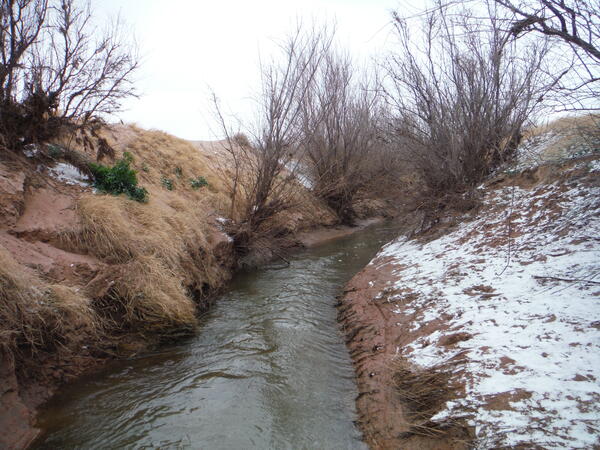 Bitter Lake National Wildlife Refuge
