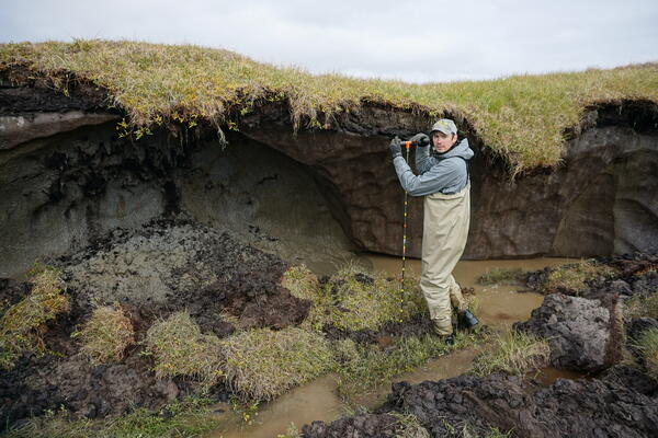  Allen Bondurant measuring depth to permafrost along a thermokarst lake shore