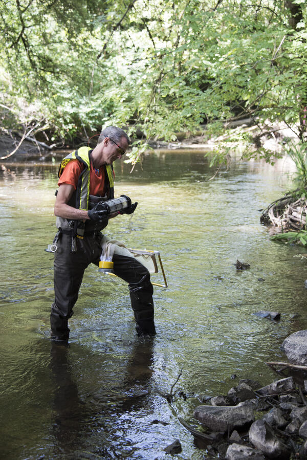 Algae samples at Bear Creek