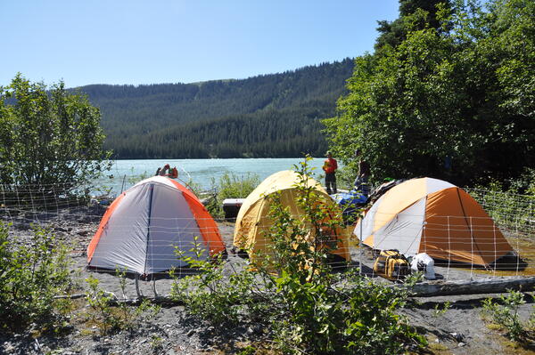 Campsite near Crillon Lake