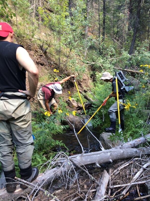 Electrofishing in a stream