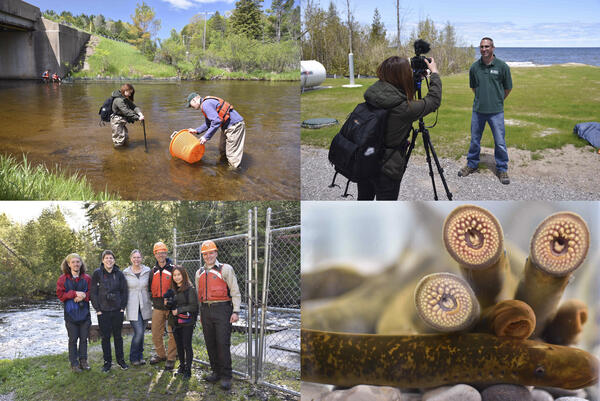 Hammond Bay Biological Station Field Work Collage