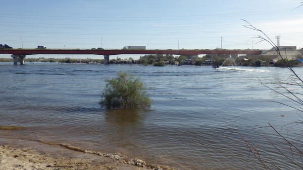 Colorado River at Southerly International Boundary during the pulse flow. 