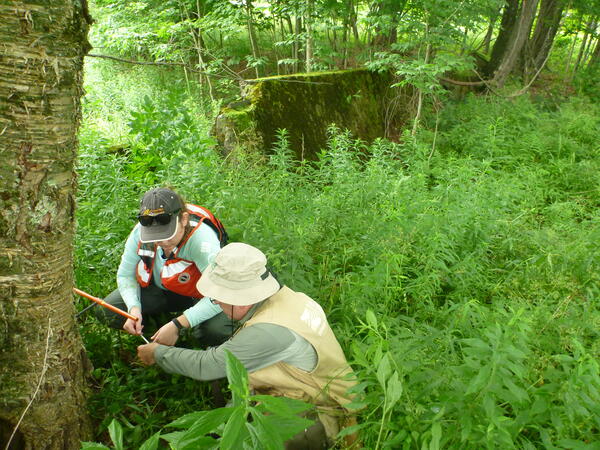 Pictures from Kacey Garber's USGS/NAGT Field Training Program Kacey Garber
