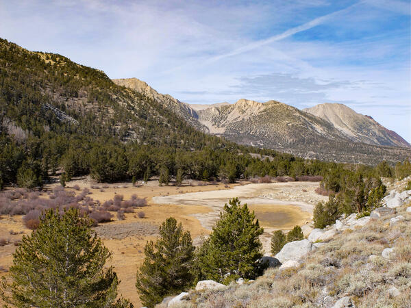 Spruce-covered mountains surround a dried-up lake.