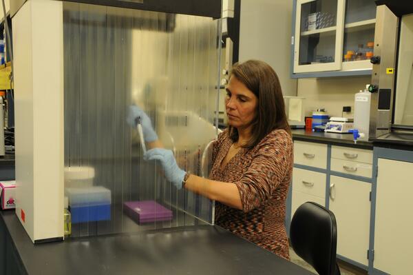 Dr. Sara Oyler-McCance working in the Molecular Genetics Lab at the Fort Collins Science Center.