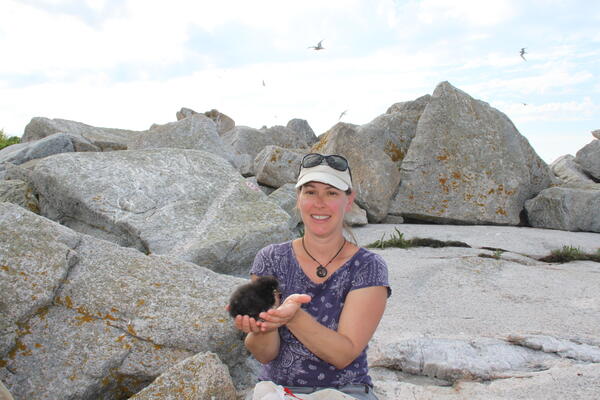 Staudinger holding a Atlantic puffin chick on Seal Island National Wildlife Refuge.