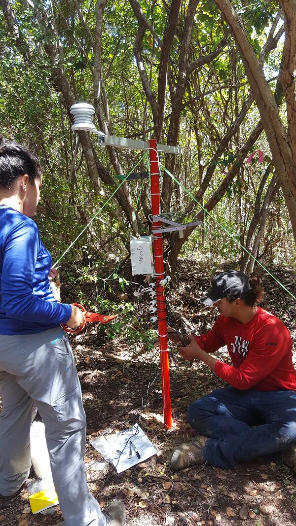 Scientists setting up equipment in Puerto Rico