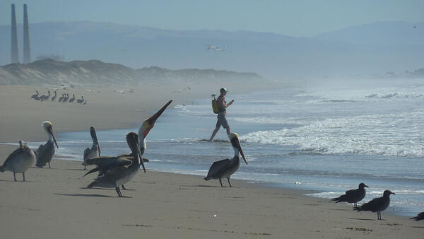 Surveying the nearshore in Monterey