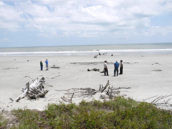 Scientists and Managers Meet on a Southeastern Beach