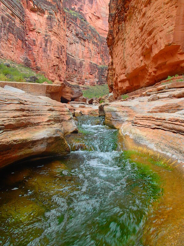 A stream in the Grand Canyon. 