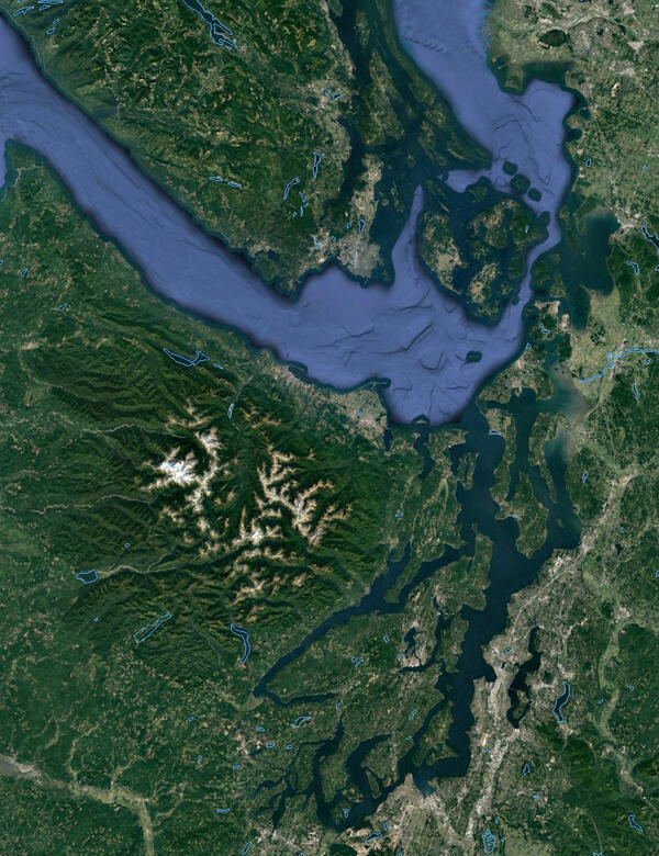 Satellite image of study area, showing forests, a bay or inlet, and estuaries and rivers.