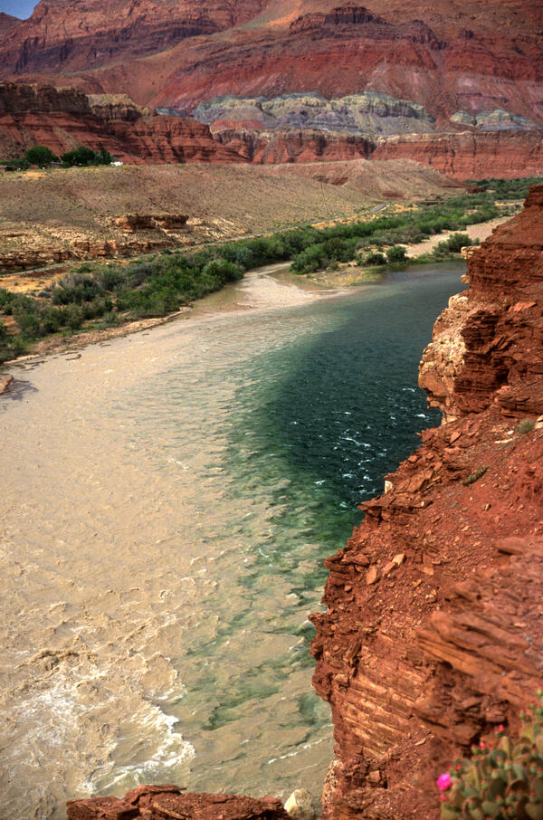 Brown, sediment-laden water of the Paria River mixes with the clear water of the Colorado River