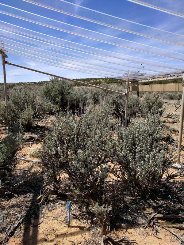 Photo of sideview of a structure that blocks rainfall