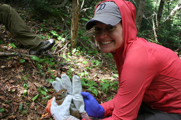 Toni Lyn Morelli traps a red squirrel