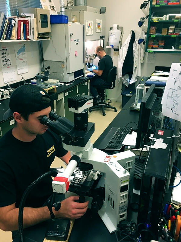 Graduate Students Mounting and Reading Otoliths