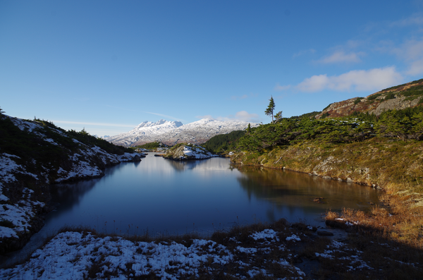 View of lake west of Wolverine Glacier