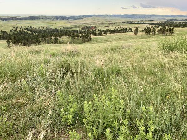 Wind Cave National Park